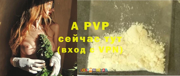 ГАЛЛЮЦИНОГЕННЫЕ ГРИБЫ Богородск