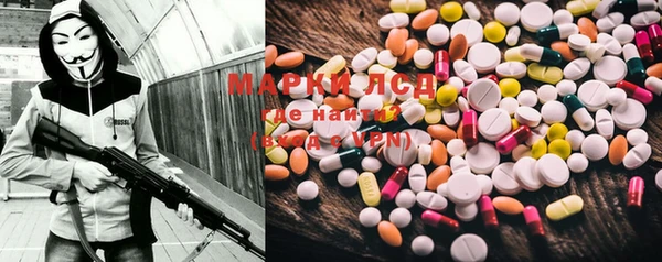 spice Богданович
