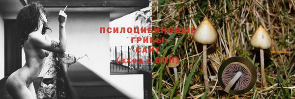 ГАЛЛЮЦИНОГЕННЫЕ ГРИБЫ Богородск