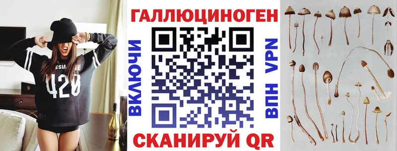 Купить где  Амурск  Галлюциногенные грибы MAGIC MUSHROOMS 